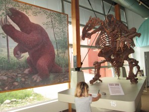 Jefferson Ground Sloth skeleton and picture