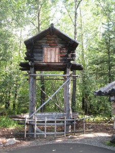 Athabaskans store their food up there and put bear fat on poles to scare away animals(called a food cache).  Some still use these today.  