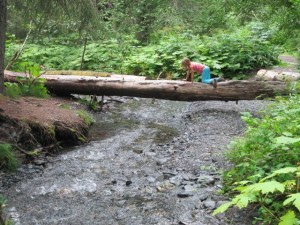 Kat's way of crossing the creek. 