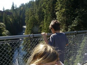 Kane looking for fish on the Suspension Bridge