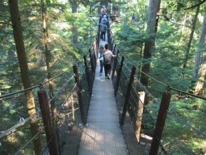 Treetop Adventure