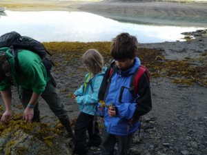 Kent teaching our kids about Kelp. Wish I had a pic of kids faces when he put it in his hair.   