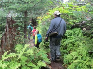 Hiking through the forest 