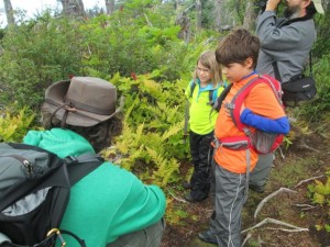 Learning about berries