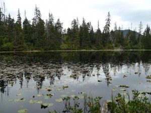 A lake on the trail