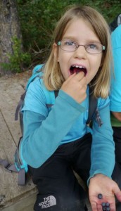 Blueberry time by the lake