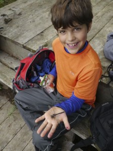 Kane's holding a dragonfly!