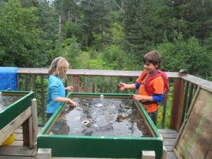 Touch tank fun