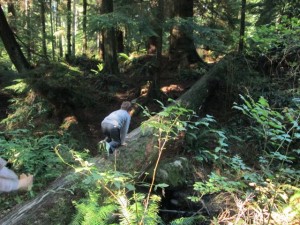 Hike in the Rainforest