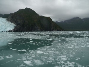 seward marine cruise24