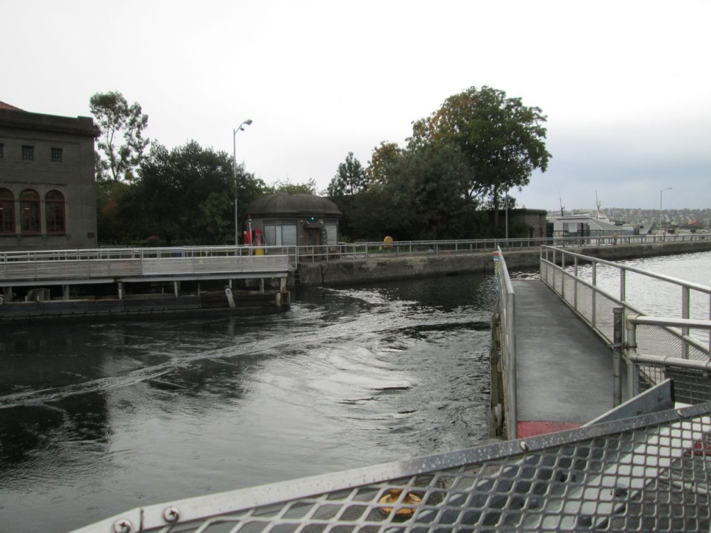 The large lock opening up for a huge tugboat to head up to lakes (Union and Washington).  Lake side is 12 feet above the sound (ocean) side.