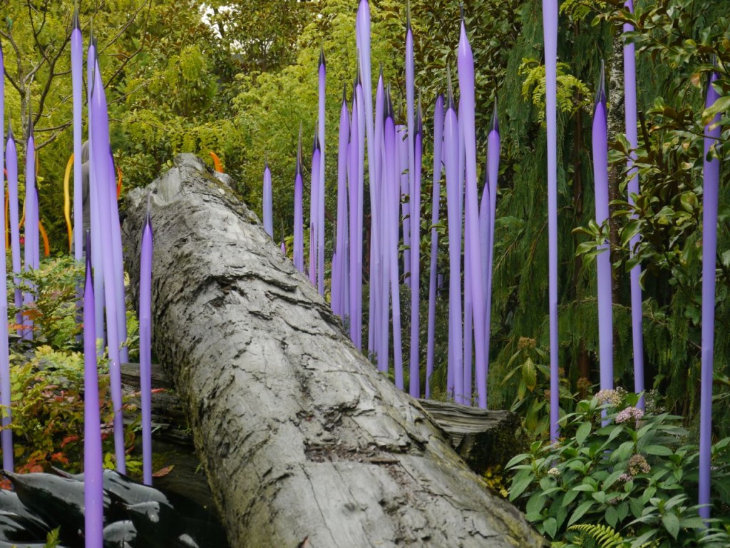 The contrasting textures and colors in the gardens are breathtaking.