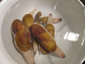 Our clams