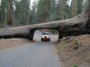 Driving through Tunnel Log