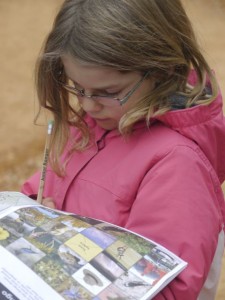 Kat working on her Jr. Ranger Book.  She spotted something on Bingo.  