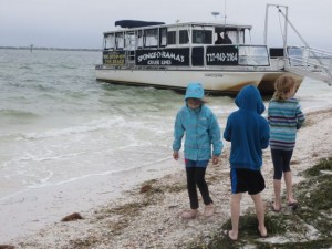 Kids searching for shells