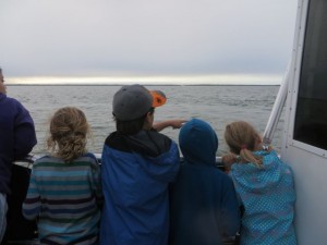 Kane is pointing to the dolphins.  Loved this pic of all of them looking at the dolphins! 