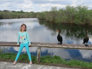 Kat loved these cormorants.  