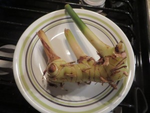 Galangal-it is in the ginger family, but has a stronger taste.