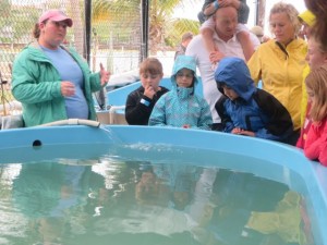 Marine Biologist telling us about each turtle. 