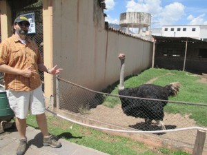 Daddy loved the ostrich! 