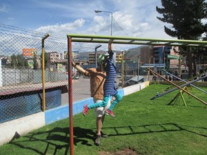 Monkey bars