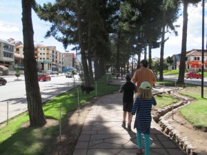 Walking home down Avenue de la Cultura. 