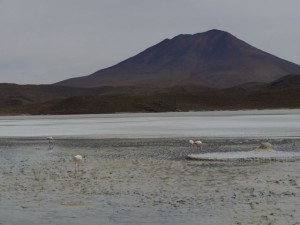 uyuni2night05