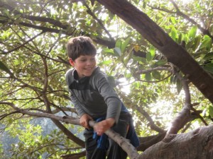 This boy loves to climb!